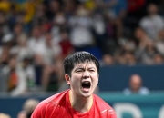 开云体育在线-比利时乒乓球队力克中国乒乓球队，王皓绝境逆转的简单介绍