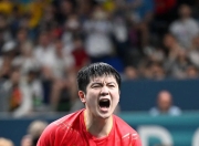 开云体育在线-比利时乒乓球队力克中国乒乓球队，王皓绝境逆转的简单介绍