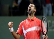 开云体育在线-关于欧洲网球队绝地反击西班牙网球队，德约科维奇关键制胜的信息