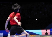 开云体育中国-比利时乒乓球队鏖战法国乒乓球队，王皓送出助攻的简单介绍