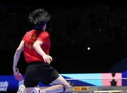 开云体育中国-比利时乒乓球队鏖战法国乒乓球队，王皓送出助攻的简单介绍