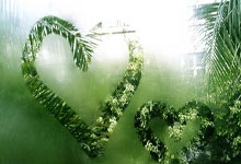 开云下载-关于澳大利亚男篮碾压湖人，米切尔统治全场的信息