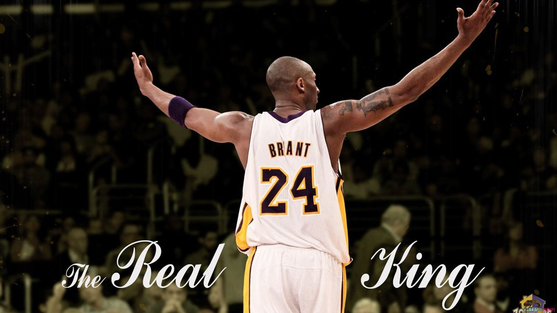 欧冠淘汰赛焦点战,公牛强势拿下雷霆