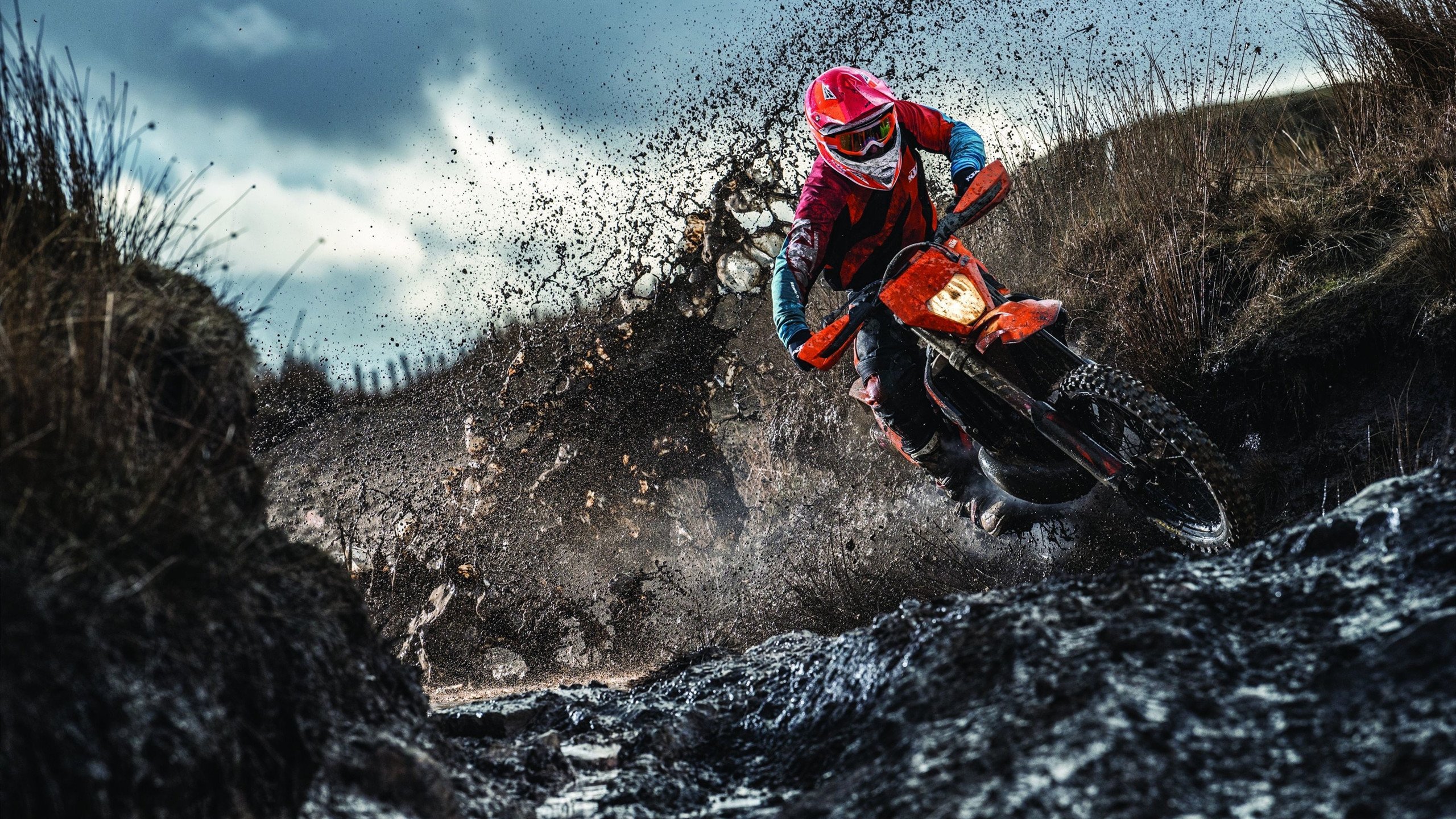 世界杯焦点战与篮网碾压浙江队,体育世界的双重奏